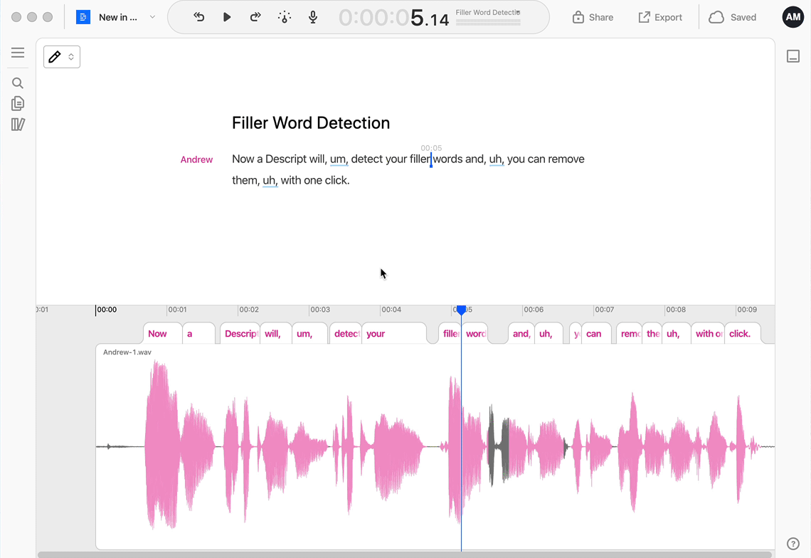 Descript text based editing demo